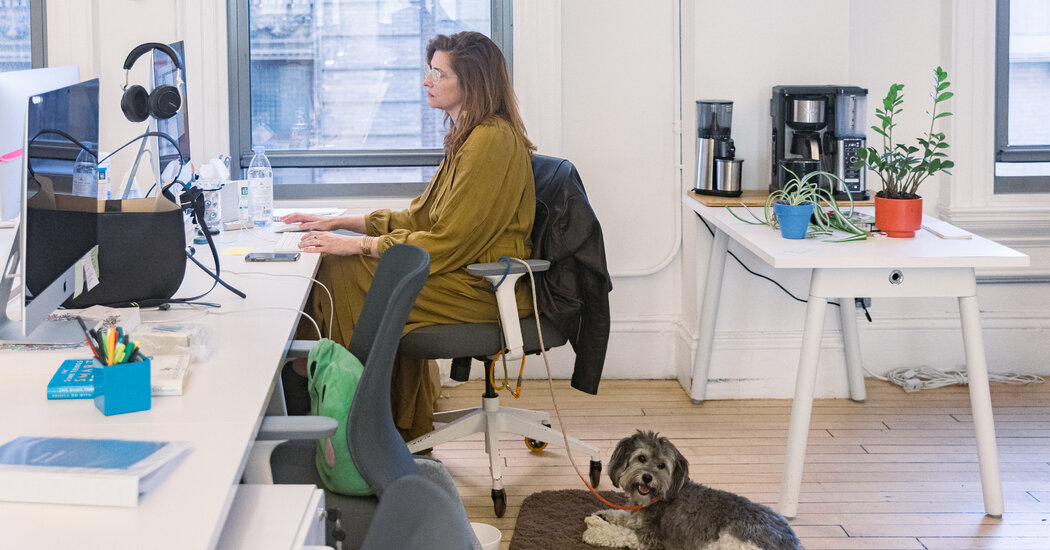 The Worst of Both Worlds: Zooming From the Office