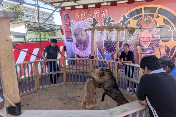 Inside the Hidden World of Dog Fighting: Detective Masaji’s Investigation Exposes a Shadow Industry